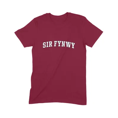 Sir Fynwy Varsity T-Shirt - Image 2