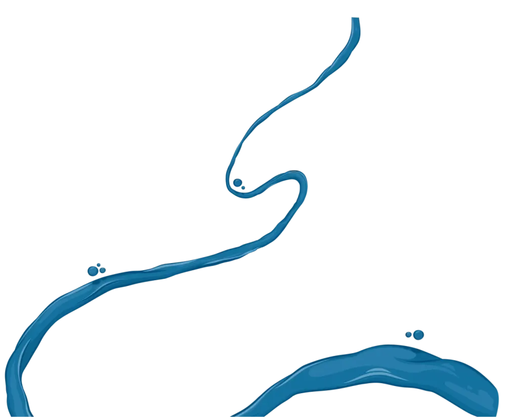 2024 Celebración del 110º aniversario del Canal de Panamá