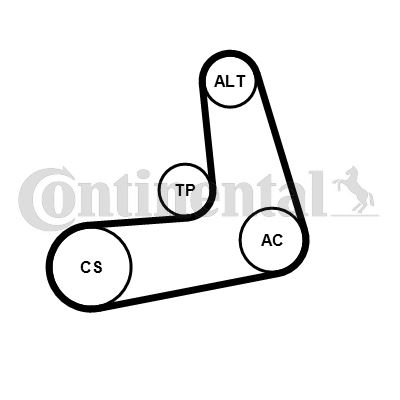 CONTINENTAL CTAM 6PK1005K2 Motor Kayış Kasnağı - BMW 5 (F10) uyumlu