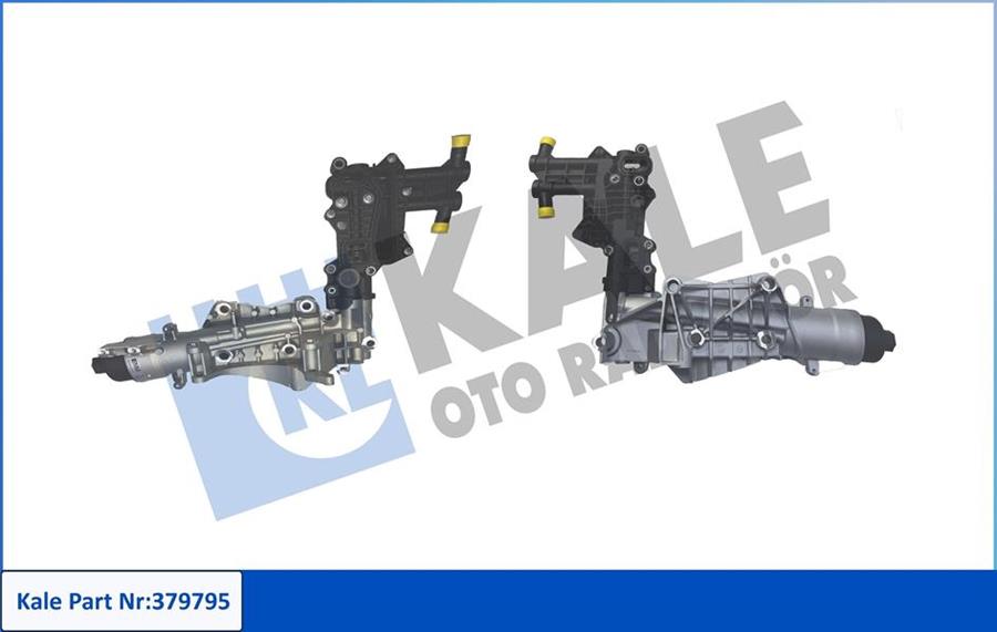 KALE OTO RADYATÖR 379795 Motor Yağ Filtresi - RENAULT SCÉNIC III (JZ0/1_) uyumlu