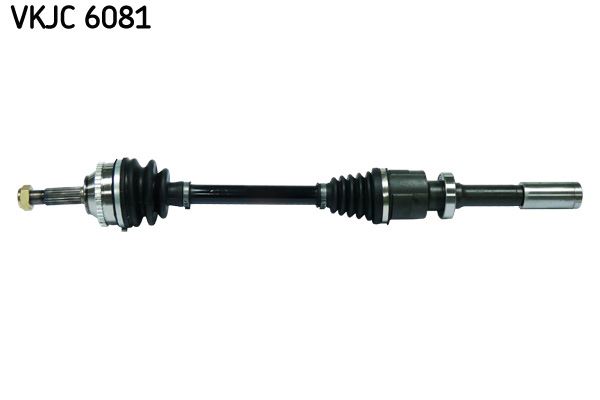 SKF VKJC 6081 Diferansiyel & Aktarma Sistemi Tahrik Mili - RENAULT CLIO II (BB_, CB_) uyumlu