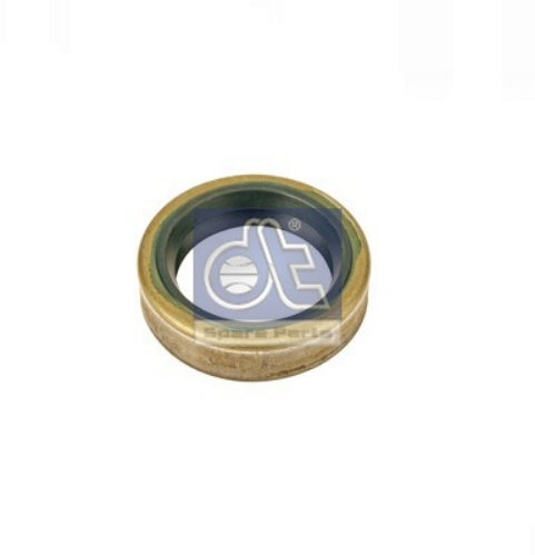 DT Spare Parts 5.10145 Tekerlek & Aks Parçaları Aks Kafası Parçaları