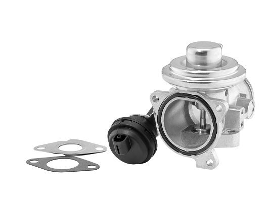 BorgWarner 7241D Motor EGR Parçaları - VW SHARAN (7M8, 7M9, 7M6) uyumlu