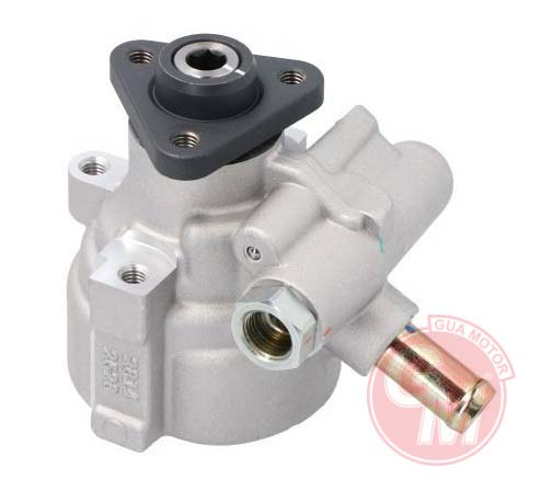 Direksiyon Pompası - GUARNITAUTO - 41077 Ürün Görseli