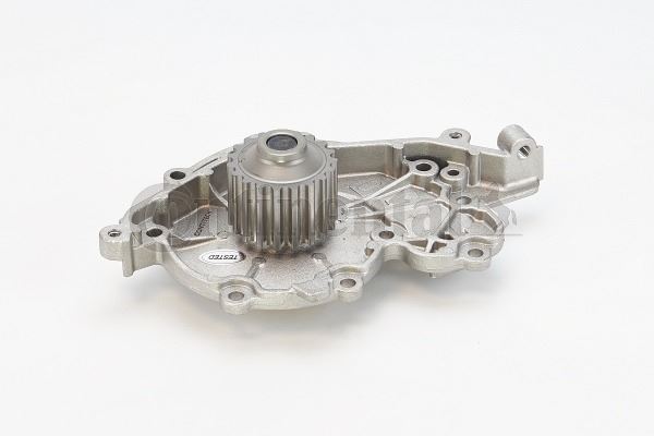 CONTINENTAL CTAM WP6028 Motor Devirdaim - RENAULT LAGUNA I (B56_, 556_) uyumlu