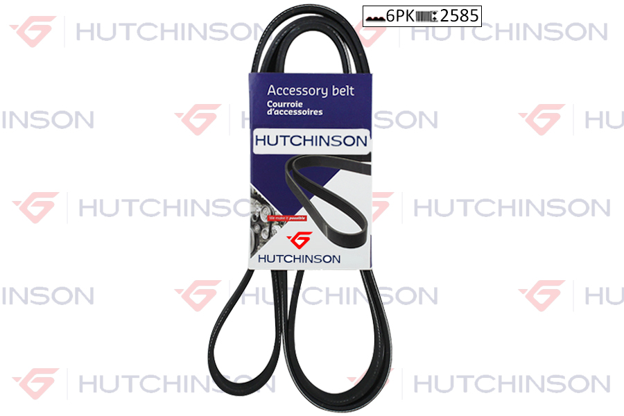 HUTCHINSON 2585 K 6 Motor Kayış - MERCEDES-BENZ SL (R129) uyumlu