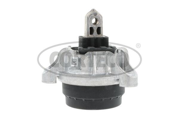 CORTECO 80005186 Motor Motor Yataklama - BMW 5 Touring (F11) uyumlu