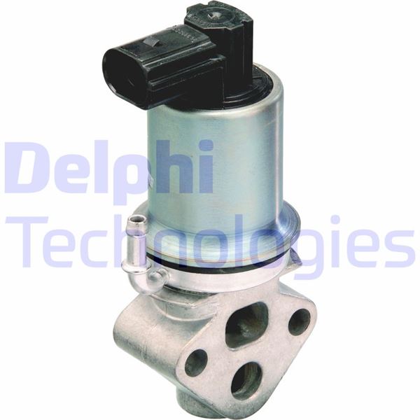 DELPHI EG10290-12B1 Motor EGR Parçaları - VW SHARAN (7M8, 7M9, 7M6) uyumlu