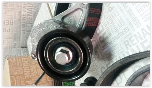 Aksesuar Kayış Seti - RENAULT ORIJINAL - 7701478495 Ürün Görseli