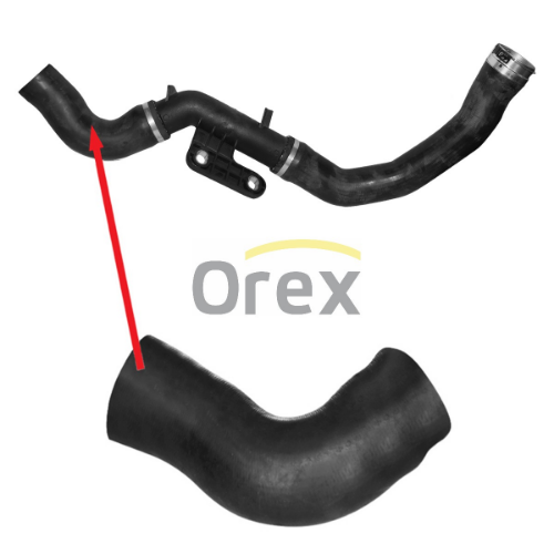 Radyatör Hortumu - OREX - 150483