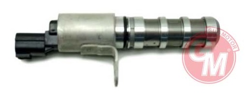 Eksantrik Ayar Valfi - GUARNITAUTO - 41699 Ürün Görseli