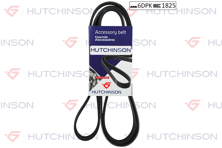 HUTCHINSON 1825 KDF 6 Motor Kayış - VOLVO S70 (874) uyumlu