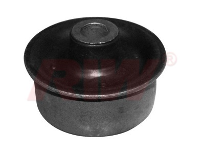 Salıncak Burcu - RIW - FO11034 Ürün Görseli