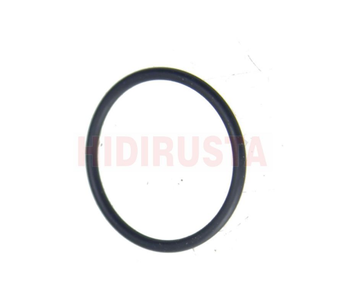 O Ring - EURORICAMBI - 95534396 Ürün Görseli