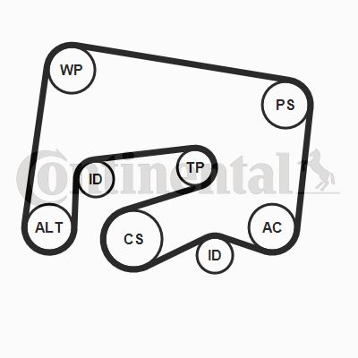 CONTINENTAL CTAM 6PK2000K1 Motor Kayış Kasnağı - MERCEDES-BENZ CLS (C218) uyumlu