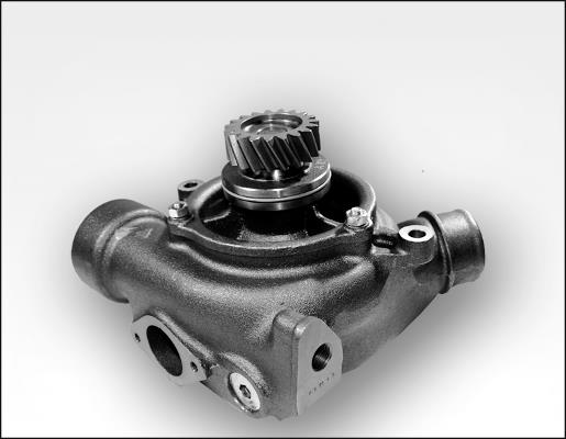 GK 981185 Motor Devirdaim