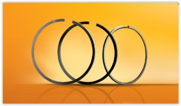 Piston Segmanı - GOETZE ENGINE - 61789069G Ürün Görseli