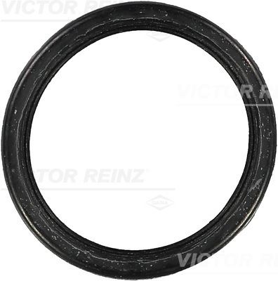 VICTOR REINZ 71-24564-00 Motor Manifold Contası - PEUGEOT 604 (561A_) uyumlu