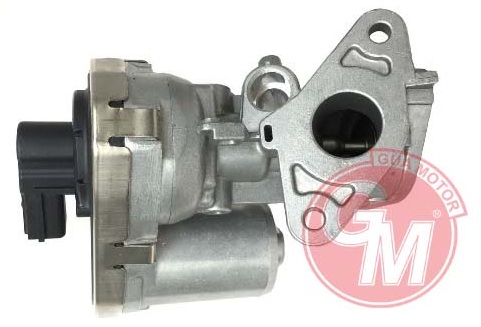 Egr Valfi - GUARNITAUTO - 41141 Ürün Görseli