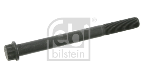 FEBI BILSTEIN 27549 Motor Silindir Kafa Civataları - RENAULT TRUCKS MAXTER uyumlu