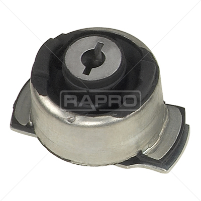 RAPRO R55262 Tekerlek & Aks Parçaları Aks Kafası Parçaları - RENAULT 19 I (B/C53_) uyumlu