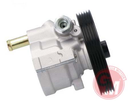 Direksiyon Pompası - GUARNITAUTO - 41463 Ürün Görseli