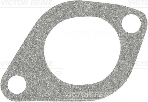 VICTOR REINZ 71-41599-00 Motor Manifold Contası