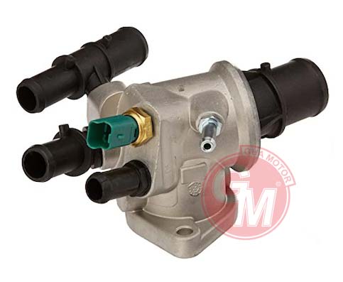 Termostat - GUARNITAUTO - 41820 Ürün Görseli