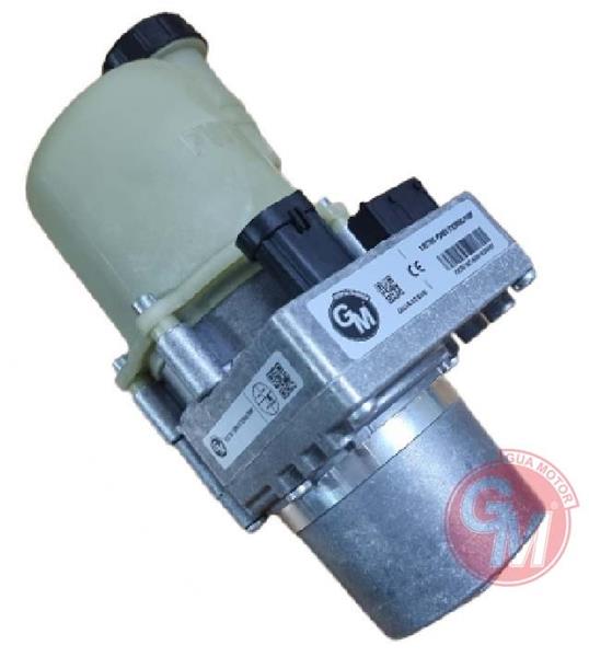Direksiyon Pompası - GUARNITAUTO - 42085 Ürün Görseli