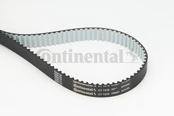 CONTINENTAL CTAM CT1216 Motor Kayış - VOLVO V60 I (155) uyumlu