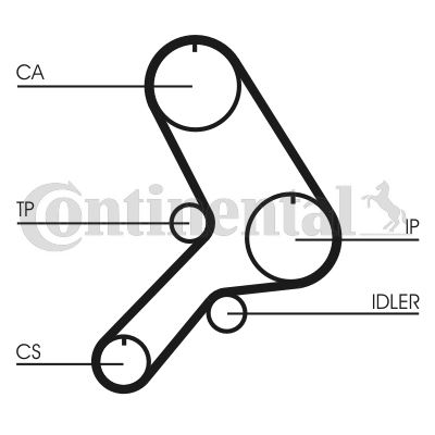 CONTINENTAL CTAM CT617 Motor Kayış - ALFA ROMEO 155 (167_) uyumlu