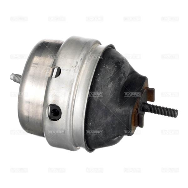 RAPRO R55535 Motor Motor Yataklama - AUDI A4 B6 (8E2) uyumlu
