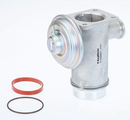 BorgWarner 711025D Motor EGR Parçaları - BMW X3 (E83) uyumlu