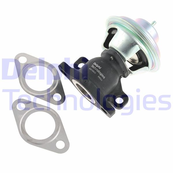 DELPHI EG10623-12B1 Motor EGR Parçaları - FIAT DUCATO Minibüs/Otobüs (230_) uyumlu