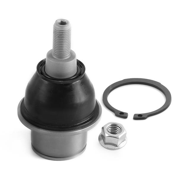 Rotil - AYD - 27701 Ürün Görseli