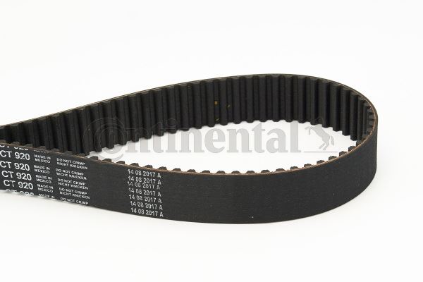 CONTINENTAL CTAM CT920 Motor Kayış - AUDI A6 C4 (4A2) uyumlu