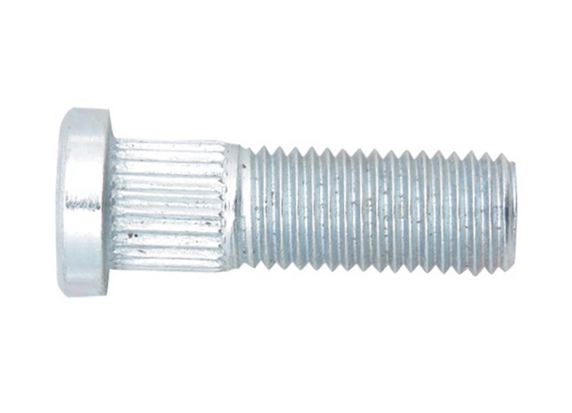 Bijon - YTT - Y3141 Ürün Görseli