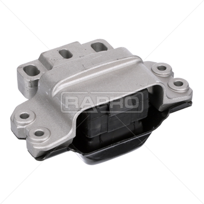 RAPRO R55446 Motor Motor Yataklama - VW PASSAT B6 (3C2) uyumlu