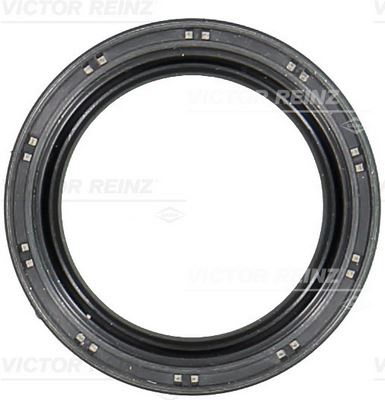 VICTOR REINZ 81-10458-00 Motor Radyal Mil Contası Seti - OPEL ADAM (M13) uyumlu