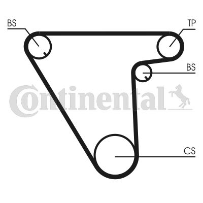 CONTINENTAL CTAM CT833 Motor Kayış - ALFA ROMEO 155 (167_) uyumlu
