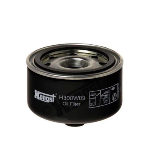 HENGST FILTER H300W09 Motor Yağ Filtresi - VW LT 28-46 II Platform şasi (2DC, 2DF, 2DG, 2DL, 2DM) uyumlu