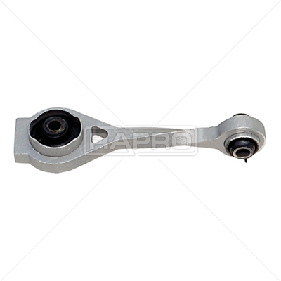 RAPRO R55219 Motor Motor Yataklama - RENAULT KANGOO Express (FC0/1_) uyumlu