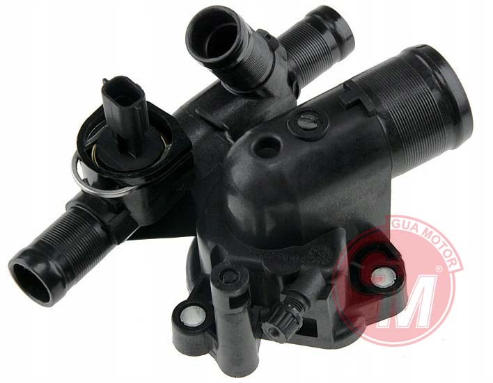 Termostat - GUARNITAUTO - 41795 Ürün Görseli