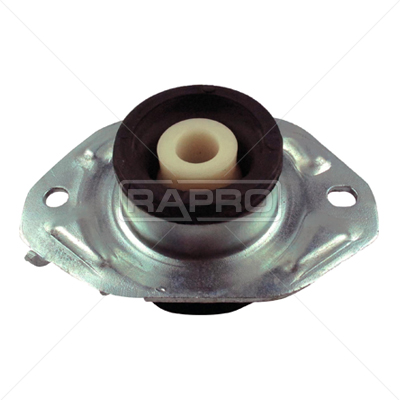 RAPRO R51251 Motor Motor Yataklama - RENAULT TRAFIC II Minibüs/Otobüs (JL) uyumlu