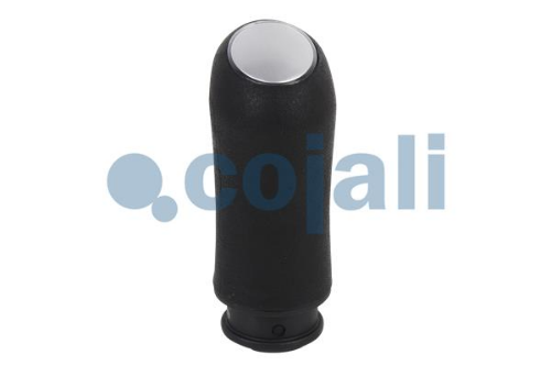 COJALI 2880156 Şanzıman Şanzıman Kullanım Ünitesi