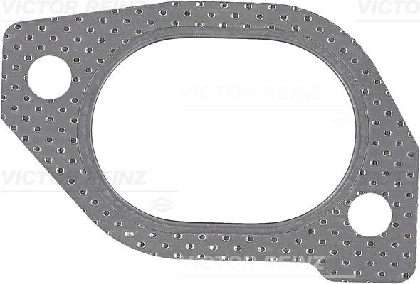 VICTOR REINZ 71-36756-00 Motor Manifold Contası