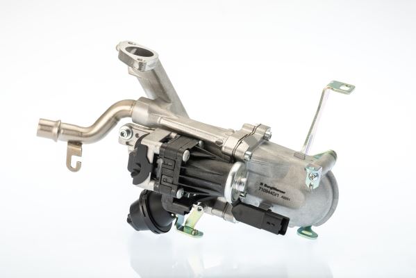 BorgWarner 710944D Motor EGR Parçaları - FORD C-MAX II (DXA/CB7, DXA/CEU) uyumlu