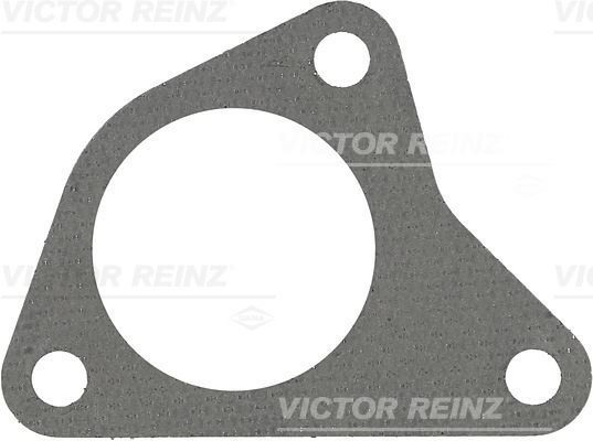 VICTOR REINZ 71-24204-20 Motor Manifold Contası