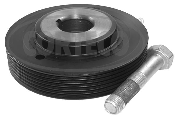 CORTECO 49418955 Motor Kayış Kasnağı - CITROËN XM (Y4) uyumlu