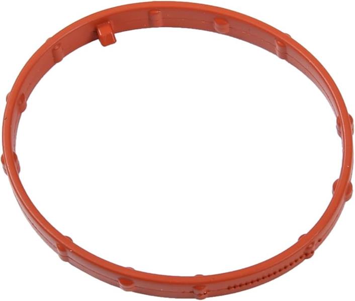 Egr Valfi Contası - GM - 55580214 Ürün Görseli